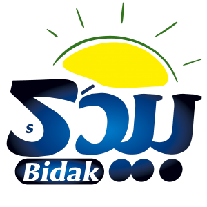 bidak 300